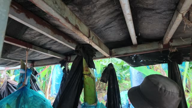 Sleeves Hanging Under Trailer Roof