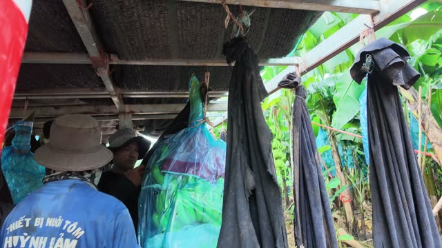 Workers Loading Trailer With Bag