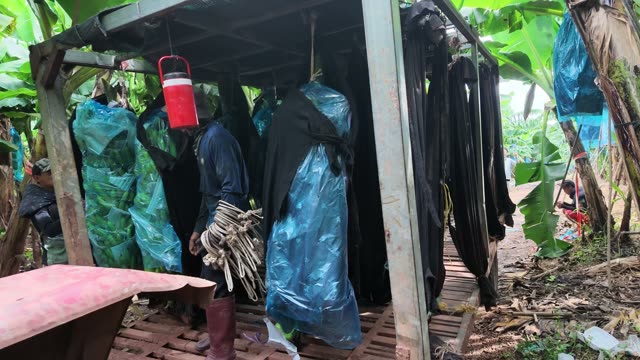 Worker Carrying Rope Under Bag Shelter
