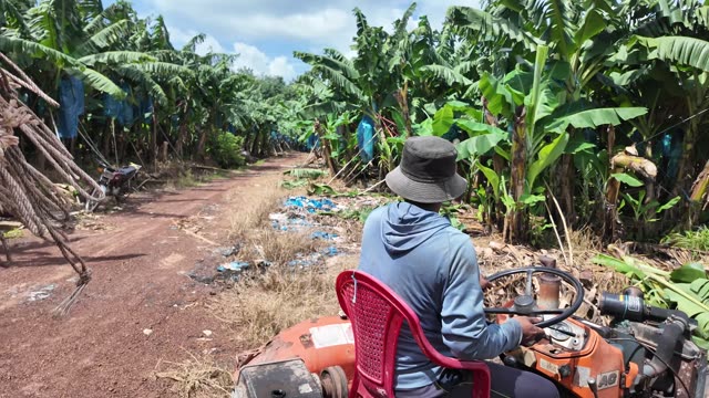 Man Driving Tractor Past Ropes