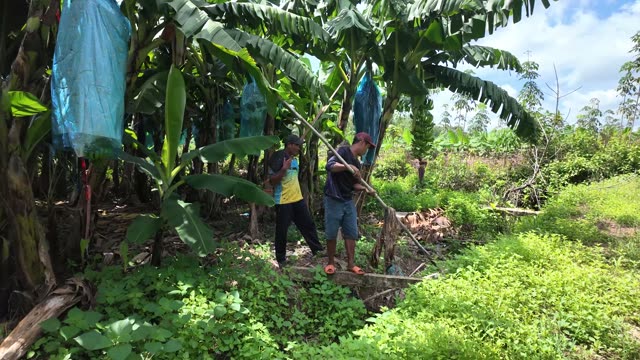 Men Working Near Ditch