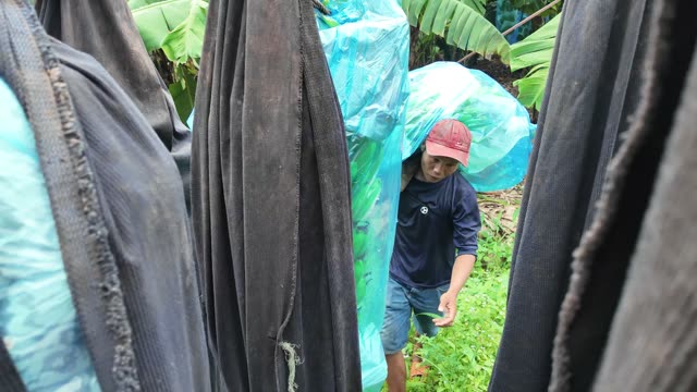 Man Entering Trailer With Bunch