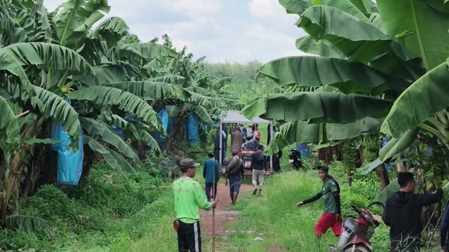 Wide View Of Workers Gathered On Path