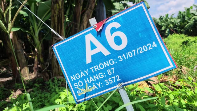 Row Marker Sign A6
