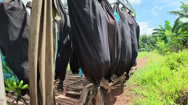 Black Sleeves On Trailer