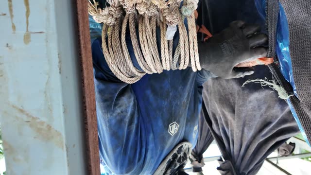 Hand Holding Coiled Ropes