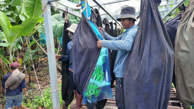 Man Tying Rope On Sleeve