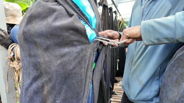 Man Fastening Sleeve With Rope