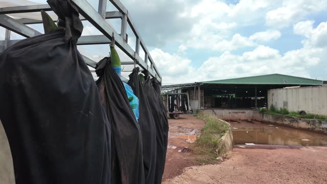 Sleeves Hanging By Warehouse