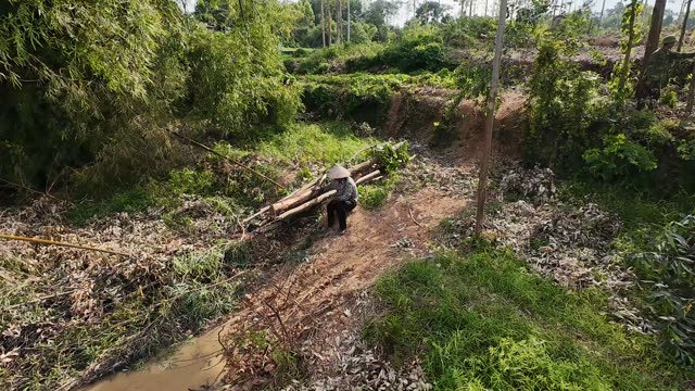 Carrying Logs Along The Stream