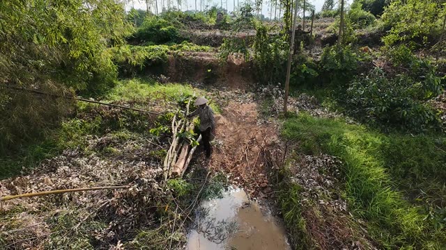 Hauling Timber Up The Bank