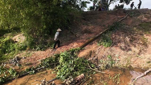 Hauling A Long Trunk Downhill