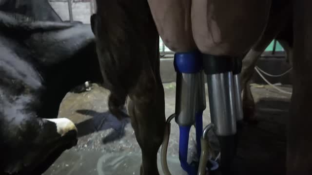 Milking Machine Close Detail