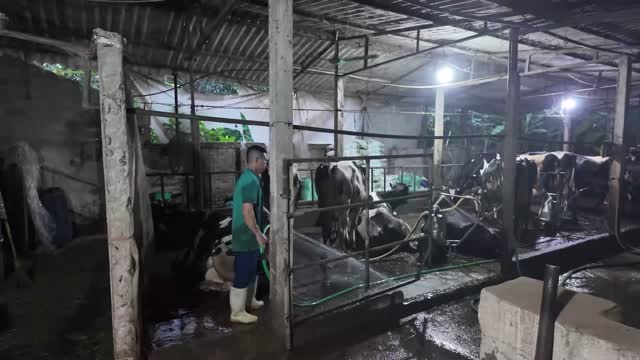 Worker Walking Through Barn