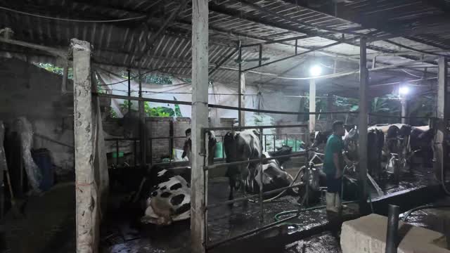 Dairy Barn Overview