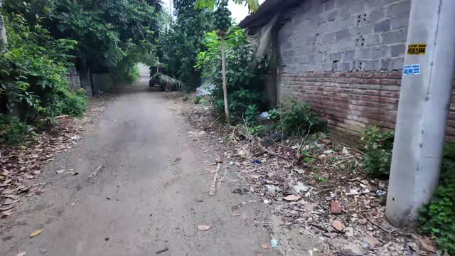 Quiet Village Dirt Lane
