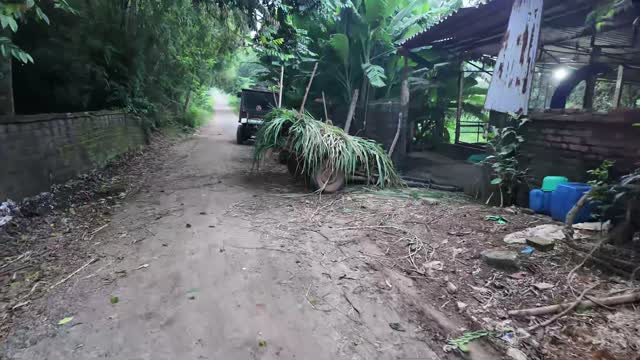 Farm Vehicle On Lane