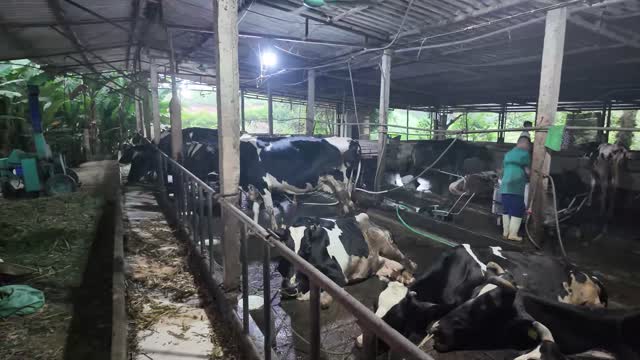 Barn With Working Farmer