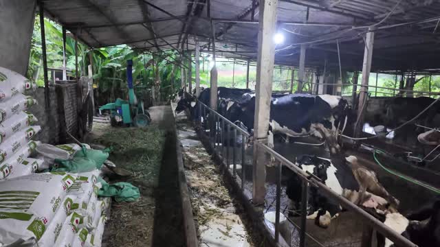 Barn Interior With Feed