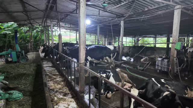 Barn And Feed Machine