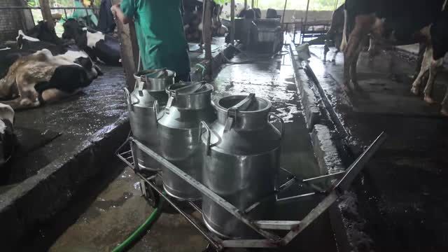 Milk Cans On Farm Cart