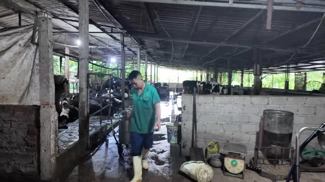 Worker Walking Through Barn