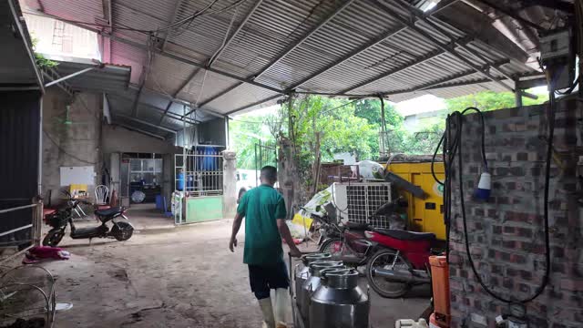 Worker Walking Through Farmyard
