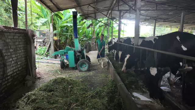 Sweeping Barn Feed Aisle