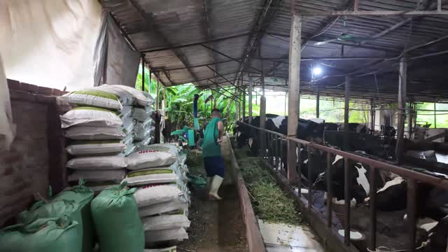 Barn Aisle With Feed Sacks
