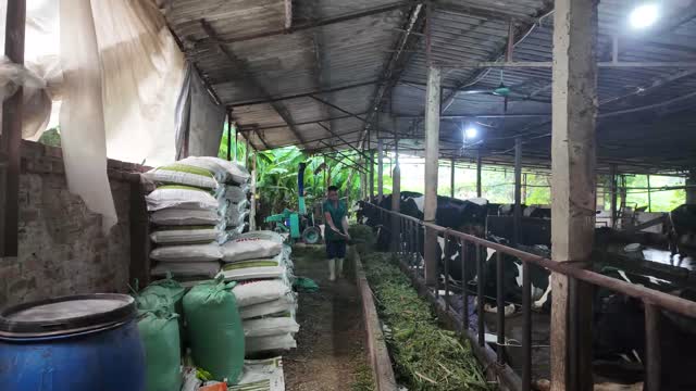 Dairy Barn Feed Store