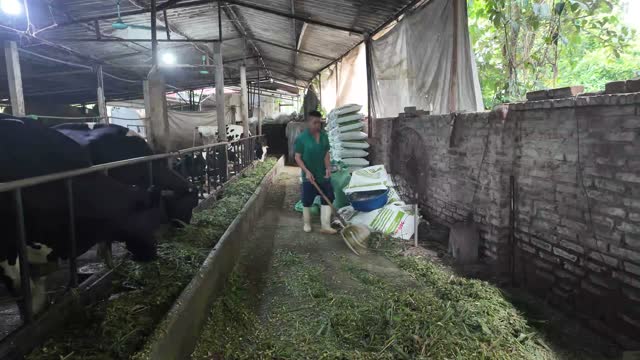 Cleaning The Feed Aisle