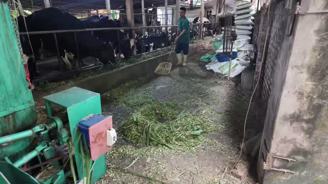 Sweeping Barn Floor Clean