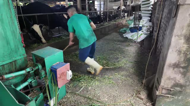 Worker Clearing Barn Aisle