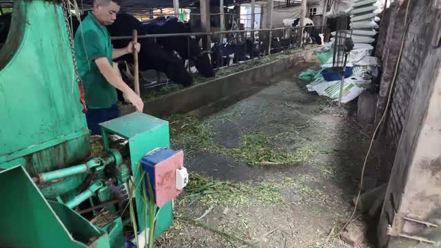 Raking Grass By Chopper