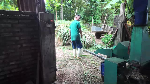Worker By Grass Machine