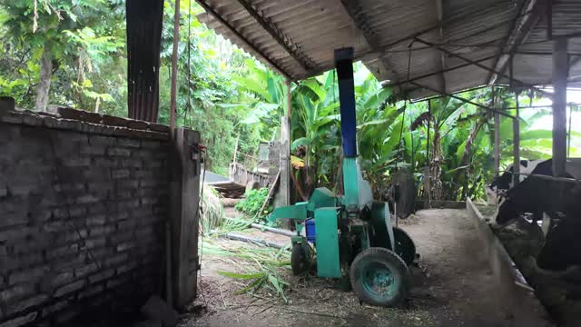 Grass Chopper And Greenery