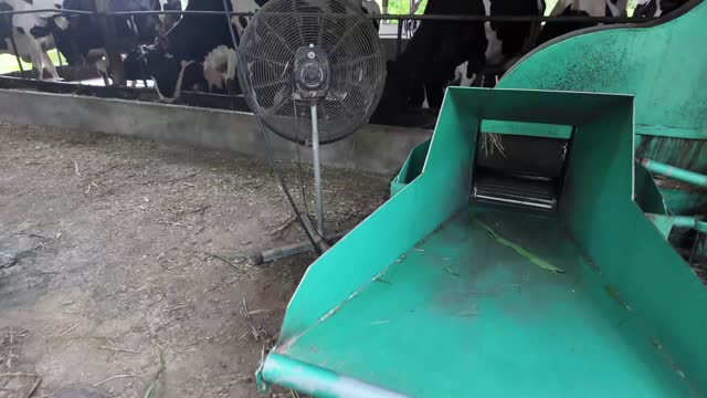 Green Feed Cart Closeup