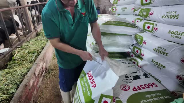 Opening Dairy Feed Sack