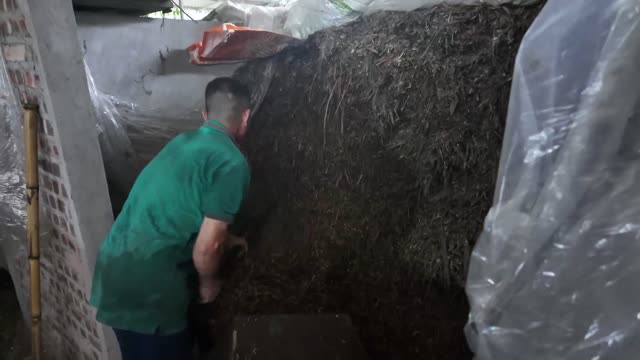 Worker In Silage Shed