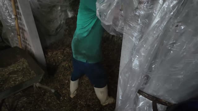 Handling Feed In Shed