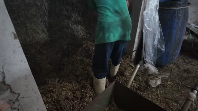 Digging Into Silage Pile