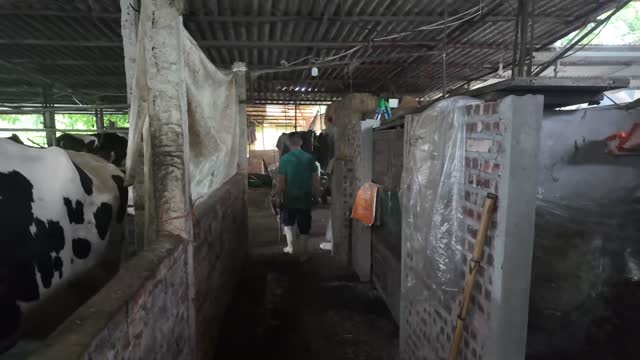 Through The Dairy Barn