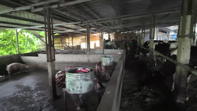 Livestock Barn Overview