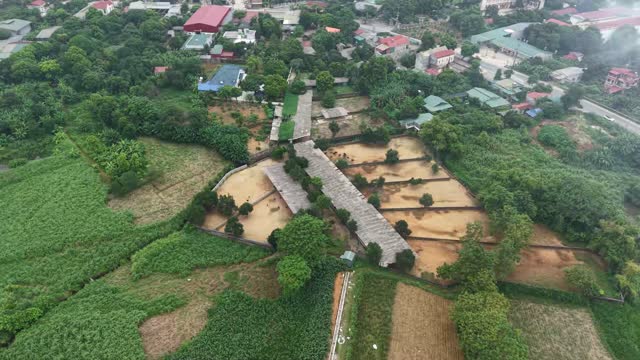 Ostrich Barns From Above