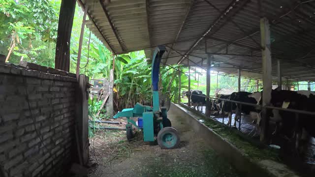 Grass Cutting Machine At Farm