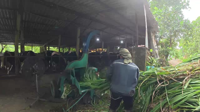 Green Grass Chopping Machine