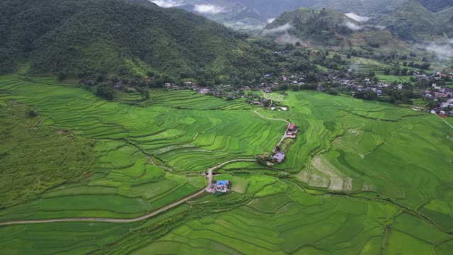 River Delta Amid Green Rice Valley