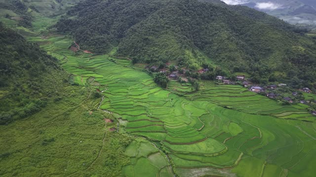 Misty Mountains Above Rice Valley