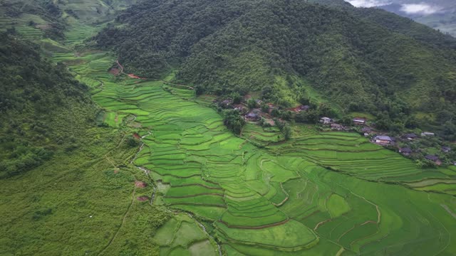 Village Cluster In Green Farmland