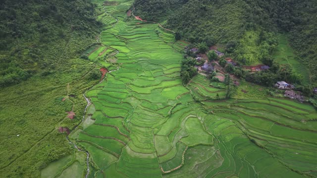 Village Road Winding Through Fields